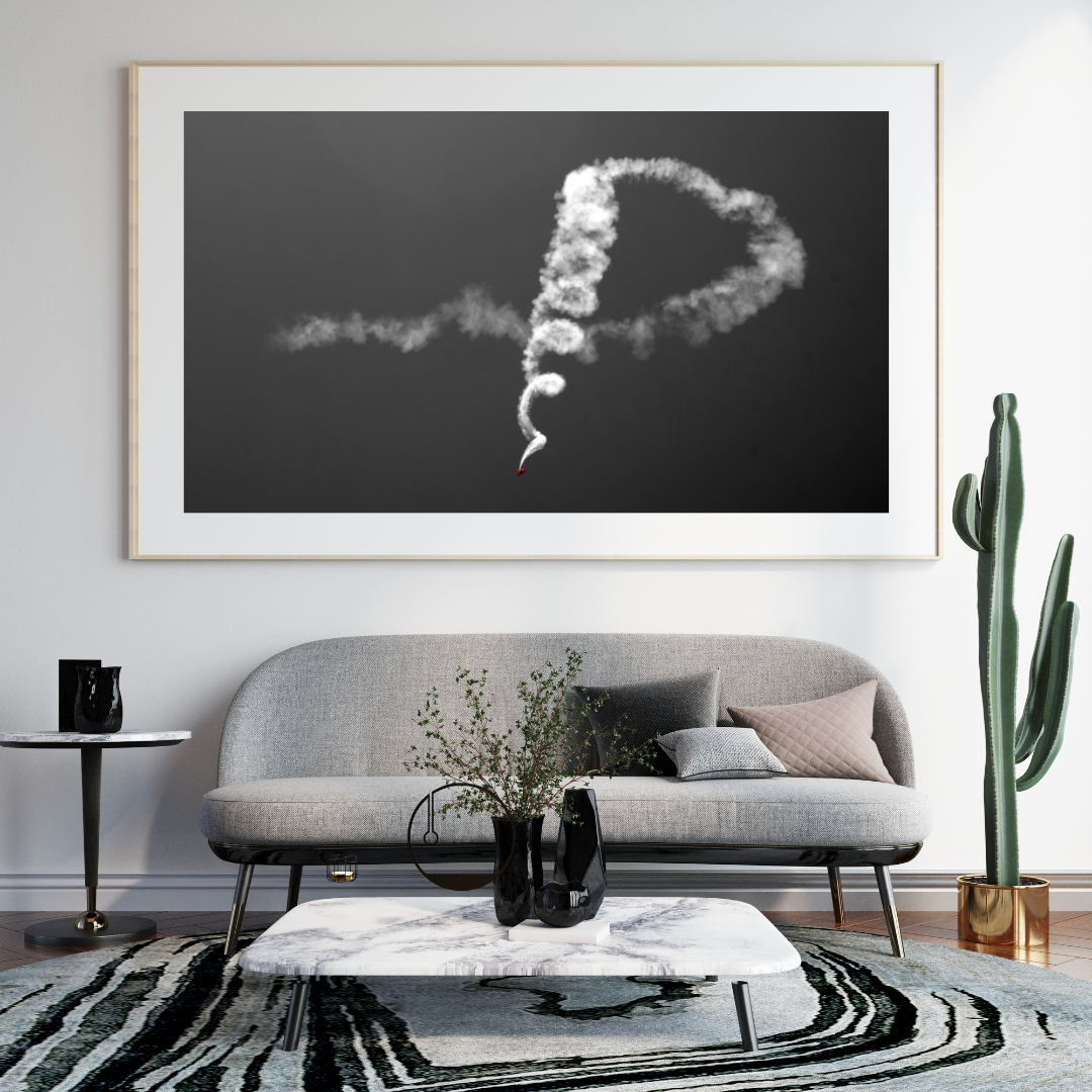 Airplane Dive Print