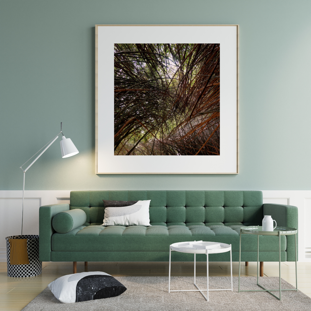 Bambu Forest Print